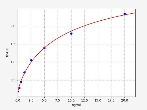 Rat CASP8AP2 (Caspase 8 Associated Protein 2) ELISA Kit (RTFI01265)