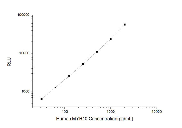 Human MYH10 (Myosin Heavy Chain 10, Non Muscle) CLIA Kit (HUES00456)