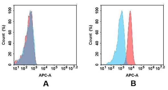 Her3 (Seribantumab biosimilar) mAb (HDBS0437)
