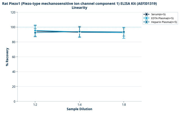 Rat Piezo1 (Piezo-type mechanosensitive ion channel component 1) ELISA Kit (AEFI01319)