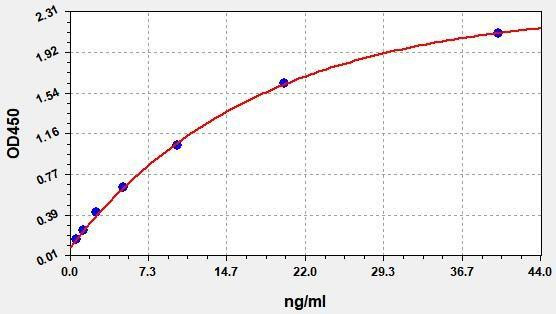 Monkey PRL (Prolactin) ELISA Kit (AEFI01454)