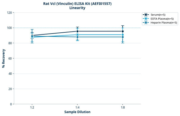 Rat Vcl (Vinculin) ELISA Kit (AEFI01557)