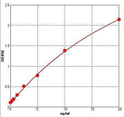 Rat Beta-TG (Beta-thromboglobulin) ELISA Kit (AEFI01642)