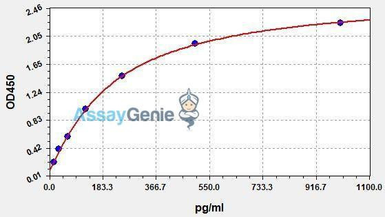 Human LCP1 (Plastin-2) ColorStep ELISA Kit (AEFI02285)