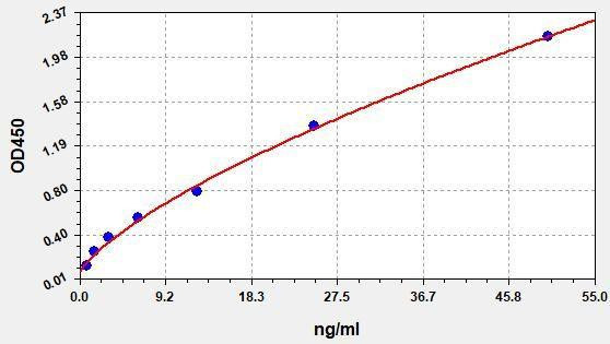 Rat Prdx2 (Peroxiredoxin-2) ColorStep ELISA Kit (AEFI02782)