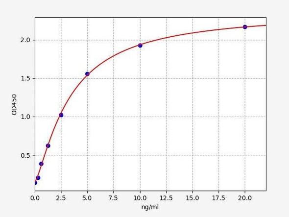 Rat ErbB2 ColorStep ELISA Kit (AEFI02791)