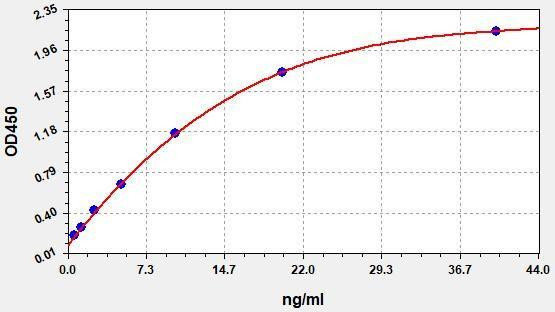 Rat IgE (Immunoglobulin E) ColorStep ELISA Kit (AEFI03320)