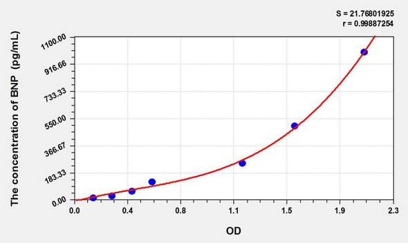 Rat BNP (Brain Natriuretic Peptide) ELISA Kit (AEKE01455)