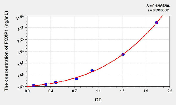 Human FOXP1 (Forkhead Box Protein P1) ELISA Kit (AEKE01465)