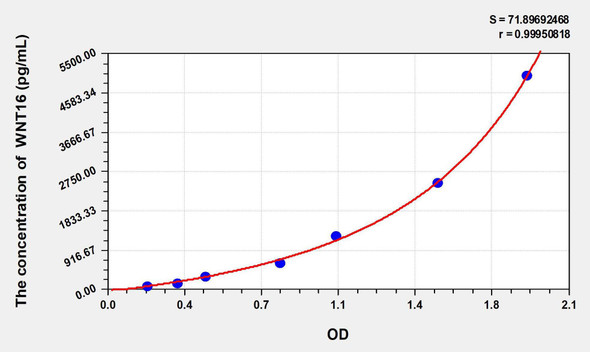 Mouse WNT16 (Wingless Type MMTV Integration Site Family, Member 16) ELISA Kit (AEKE02576)