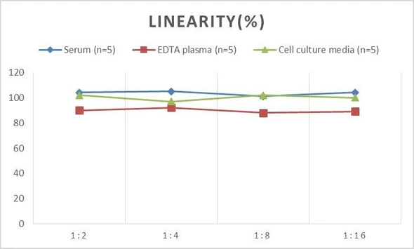 Rat NGAL (NeutrophilGelatinase Associated Lipocalin) ELISA Kit (AEES00748)