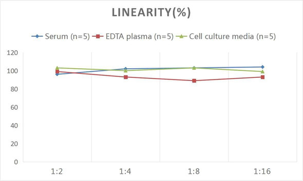 Rat GRObeta/CXCL2 (Growth Regulated Oncogene Beta) ELISA Kit (AEES00753)