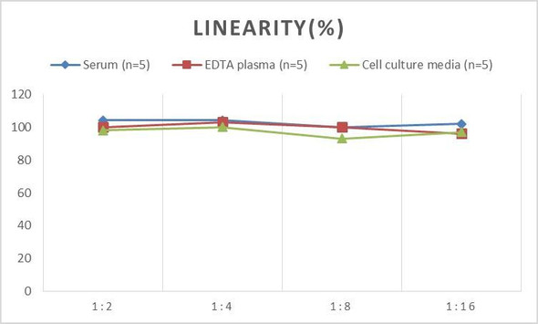 Porcine IL-4 (Interleukin 4) ELISA Kit (AEES00763)