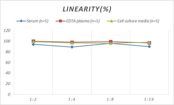 Mouse DKK1 (Dickkopf Related Protein 1) ELISA Kit (AEES00791)