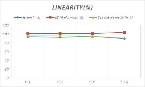 Mouse ANG2 (Angiopoietin 2) ELISA Kit (AEES00799)