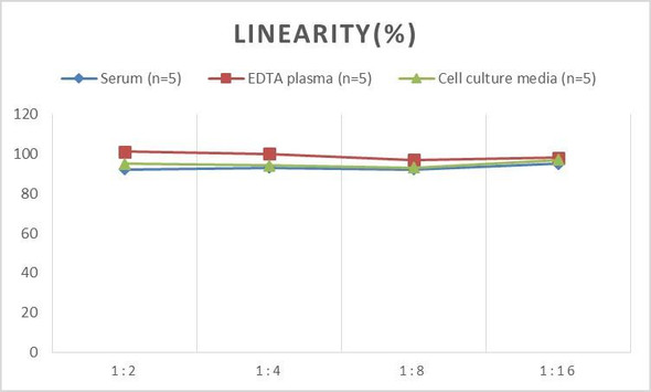 Human TSP-2 (Thrombospondin-2) ELISA Kit (AEES00817)
