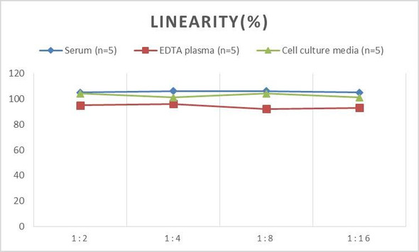 Human EREG (Epiregulin) ELISA Kit (AEES00860)