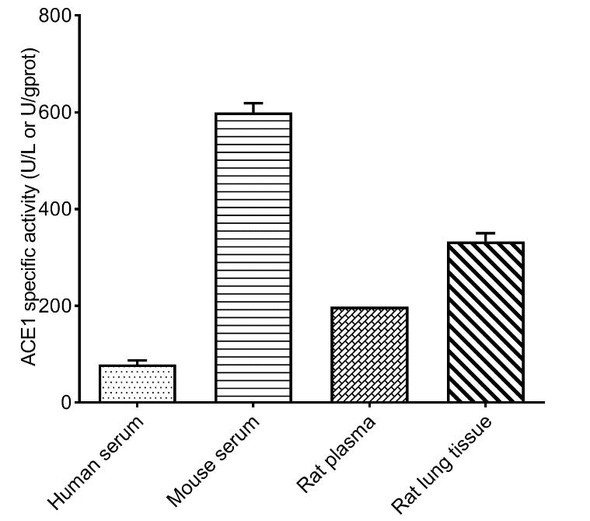 Angiotensin Converting Enzyme (ACE) Activity Assay Kit (MAES0334)