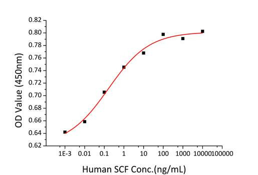 Recombinant Human c-Kit ligand/KITLG/SCF Protein (RPCB0290)