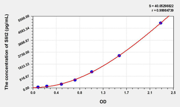 Mouse Slit2 (Slit Homolog 2) ELISA Kit (AEKE06365)