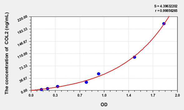Rat COL2 (Collagen Type II) ELISA Kit (AEKE06864)