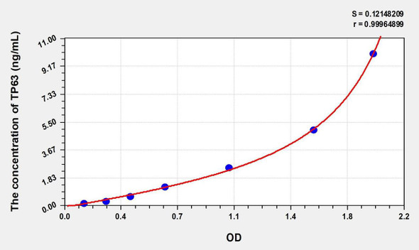 Human TP63 (Tumor Protein P63) ELISA (Small Sample Volume) (AEKE07369)