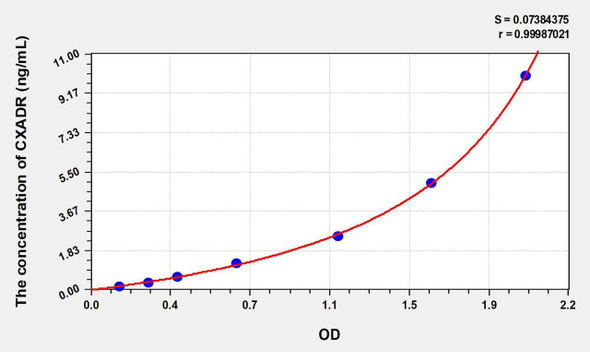 Human CXADR (Coxsackie Virus And Adenovirus Receptor) ELISA Kit (AEKE08638)