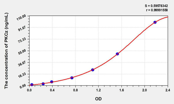 Rat PKCz (Protein Kinase C Zeta) ELISA Kit (AEKE09328)