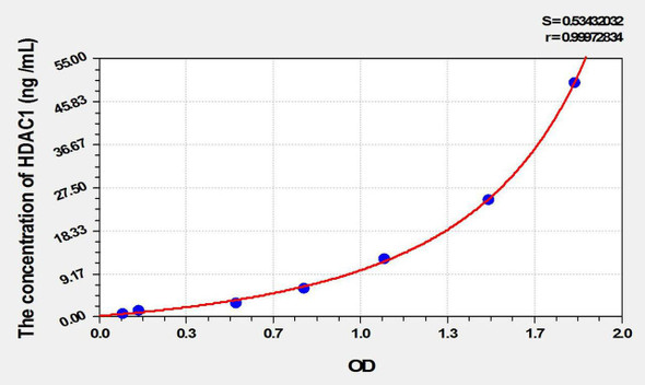 Rat HDAC1 (Histone Deacetylase 1) ELISA Kit (AEKE10065)