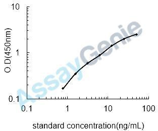 Chicken Tissue Structure & ECM (SKGE0024)