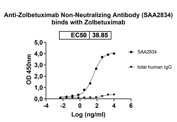 Anti-Zolbetuximab Non-Neutralizing Antibody