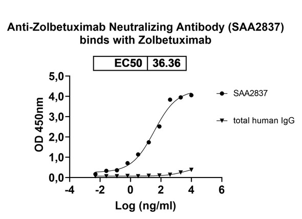 Anti-Zolbetuximab Neutralizing Antibody