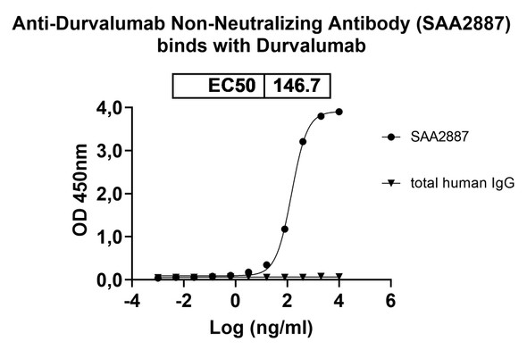 Anti-Durvalumab Neutralizing Antibody