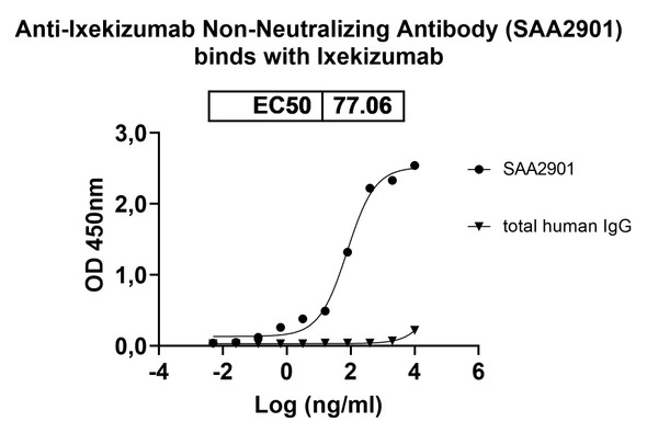 Anti-Ixekizumab Non-Neutralizing Antibody