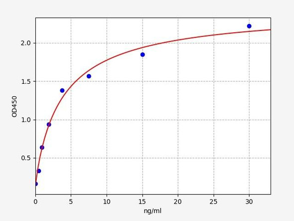 Human IgG2 / Immunoglobulin G2 ELISA Kit