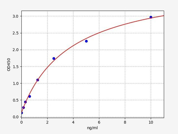 Human DDAH / Dimethylarginine Dimethylaminohydrolase 1  ELISA Kit