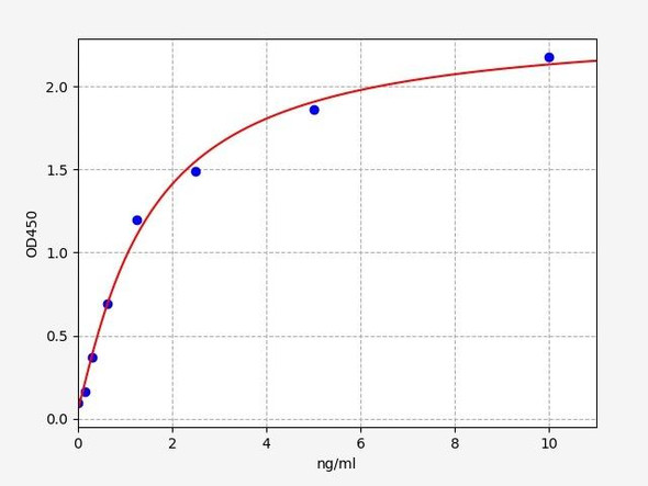 Human H-RAS ELISA Kit