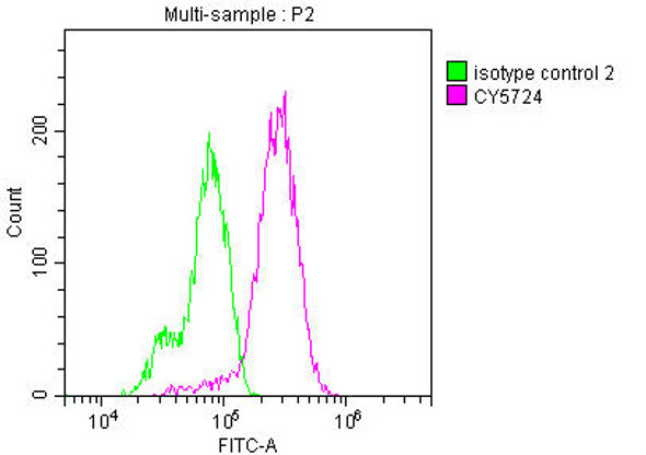 Anti-RET Antibody (RACO0270)