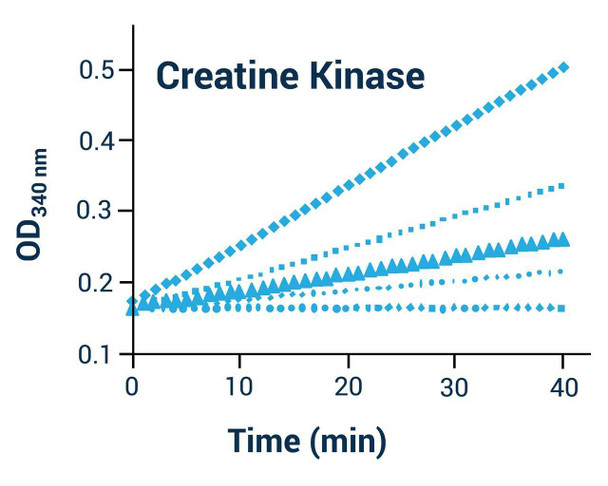 Creatine Kinase Activity Assay Kit (Colorimetric) (BA0094)