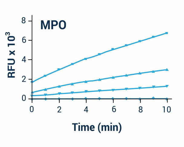 MPO Activity Assay Kit (BA0134)