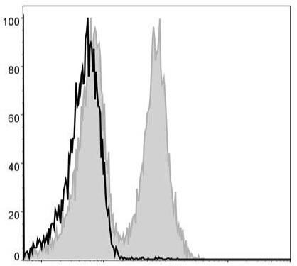 FITC Anti-Mouse CD19 Antibody [1D3] (AGEL0003)
