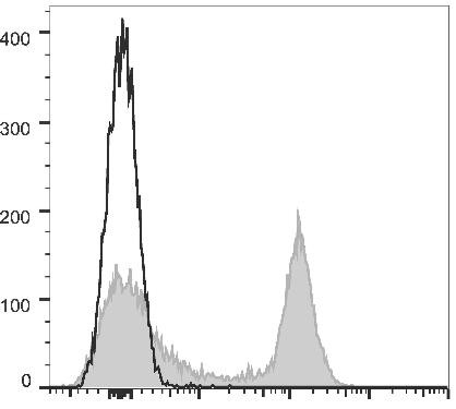 GenieFluor 647 Anti-Mouse CD16/32 Antibody [2.4G2] (AGEL0586)