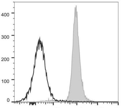 PerCP/Cyanine5.5 Anti-Mouse CD48 Antibody [HM48-1] (AGEL0694)