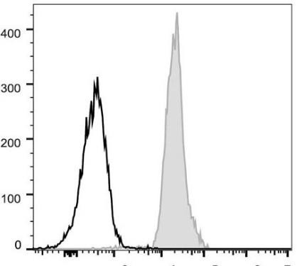 FITC Anti-Mouse CD48 Antibody [HM48-1] (AGEL0695)