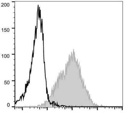 PE Anti-Mouse CD54 Antibody [YN1/1.7.4] (AGEL0711)