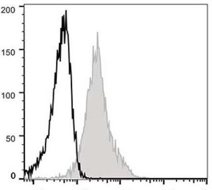 GenieFluor 488 Anti-Mouse CD54 Antibody [YN1/1.7.4] (AGEL0718)