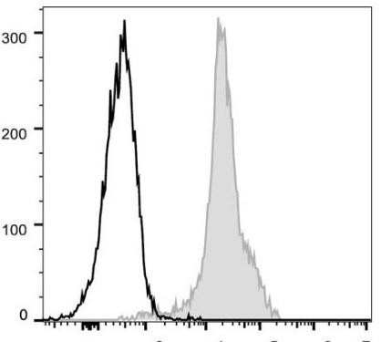 FITC Anti-Mouse CD11a Antibody [FD441.8] (AGEL0830)