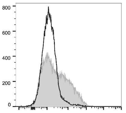 PE/Cyanine7 Anti-Mouse CD106 Antibody [M/K-2.7] (AGEL1176)