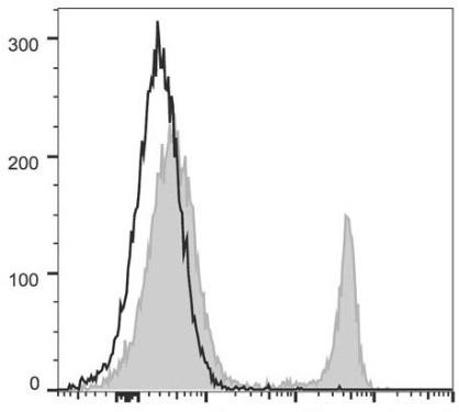 PerCP/Cyanine5.5 Anti-Mouse CD4 Antibody [GK1.5] (AGEL1252)
