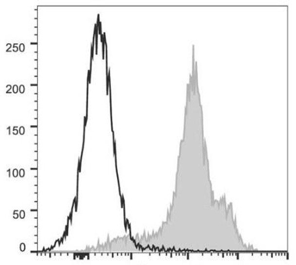 PerCP/Cyanine5.5 Anti-Human/Mouse CD44 Antibody [IM7] (AGEL1279)